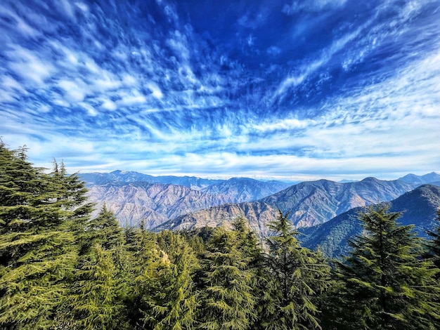 想知道如何让Telegram频道迅速吸引粉丝？掌握这些秘诀不再难！ 二