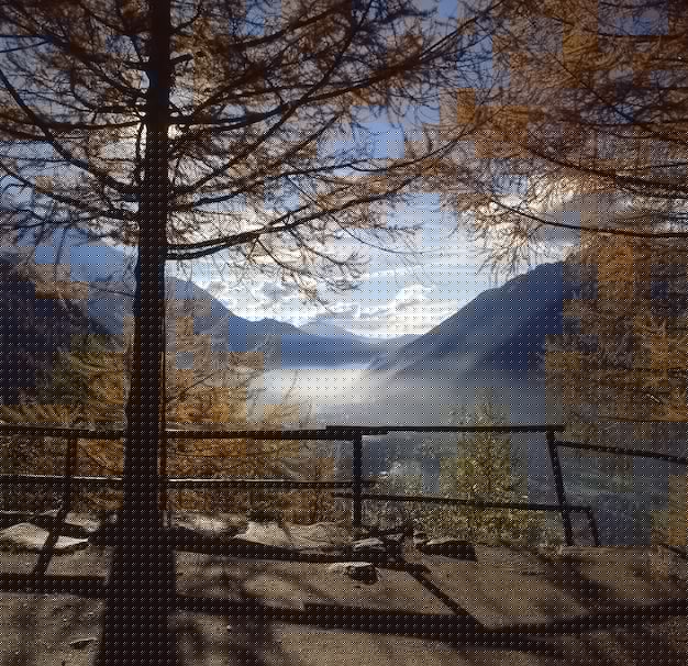 老司机导航网站如何改变你的出行体验，让你轻松找到最优路线？ 二