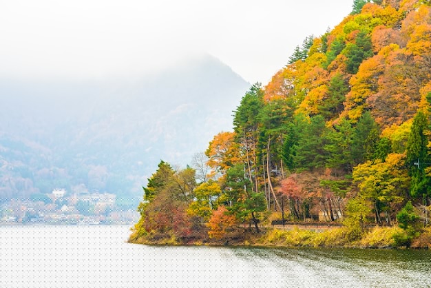 想在信息海洋中快速找到所需？搜狐网站导航帮你轻松跳转！ 二