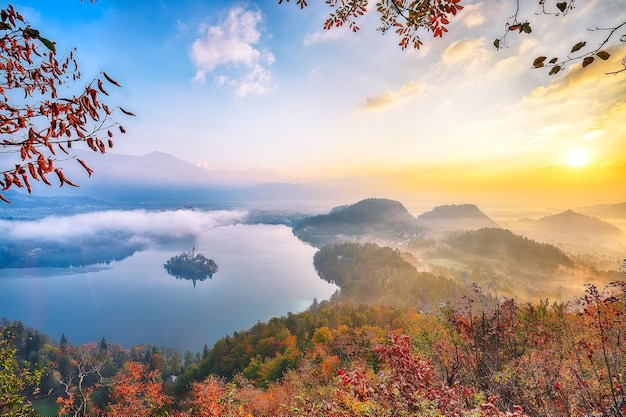 第一福利导航官方网站：寻找福利信息的不二之选，传统搜索行不行？ 二