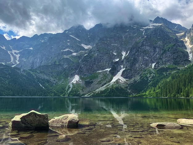 网站导航栏目找不到？一键回归畅游网站更轻松！ 二