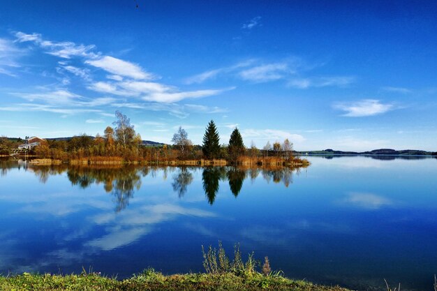 还在为找网站而感到烦恼?飞飞网站导航助你高效搜索网络宝藏!