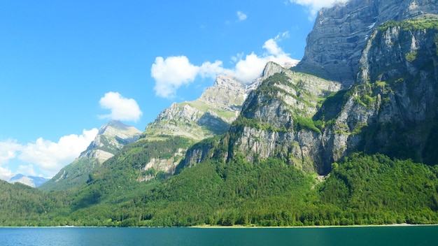 大秀导航网站靠谱吗?如何快速找到你想要的精彩活动信息?